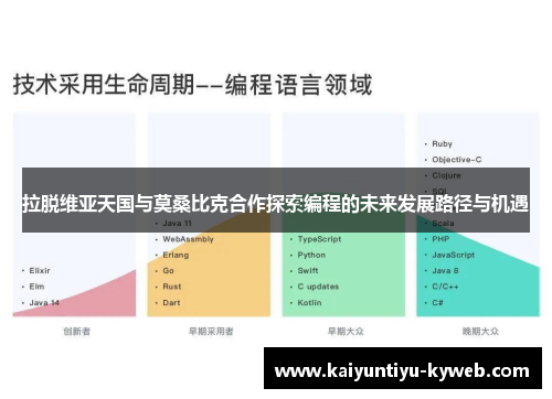 拉脱维亚天国与莫桑比克合作探索编程的未来发展路径与机遇